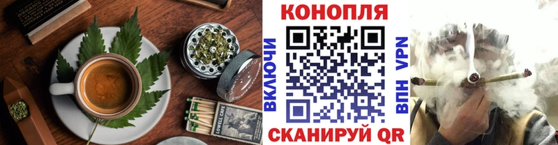 OMG   Дивногорск  Cannafood конопля 