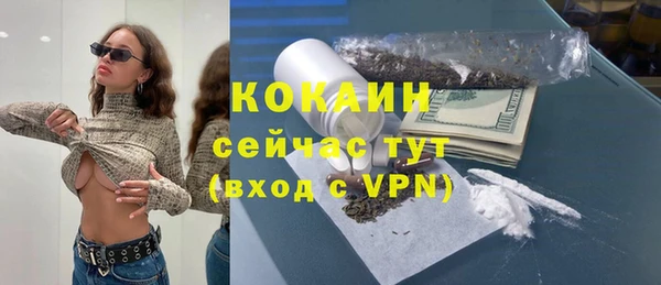гашик Горняк