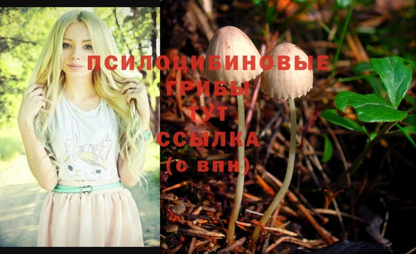 спиды Лиски