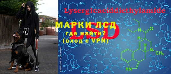 гашик Горняк