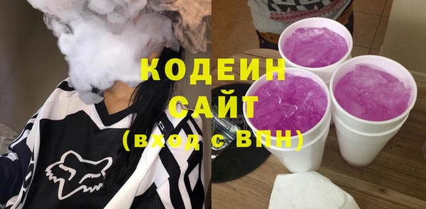 гашик Горняк