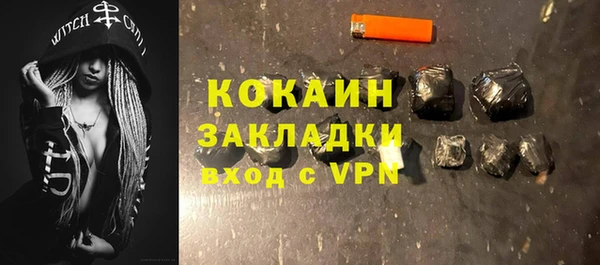 гашик Горняк