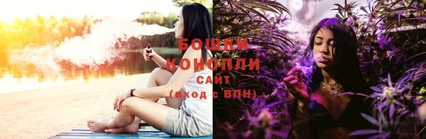 прущие грибы Остров