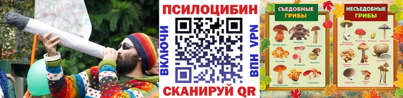 Галлюциногенные грибы мухоморы  наркошоп  Дивногорск 